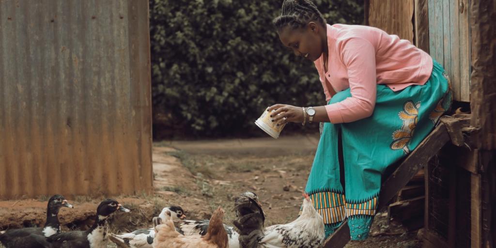 This is why a poultry-based startup idea has irresistible merits and worth your time!