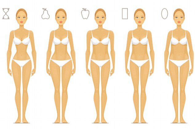 Five Female Body Types