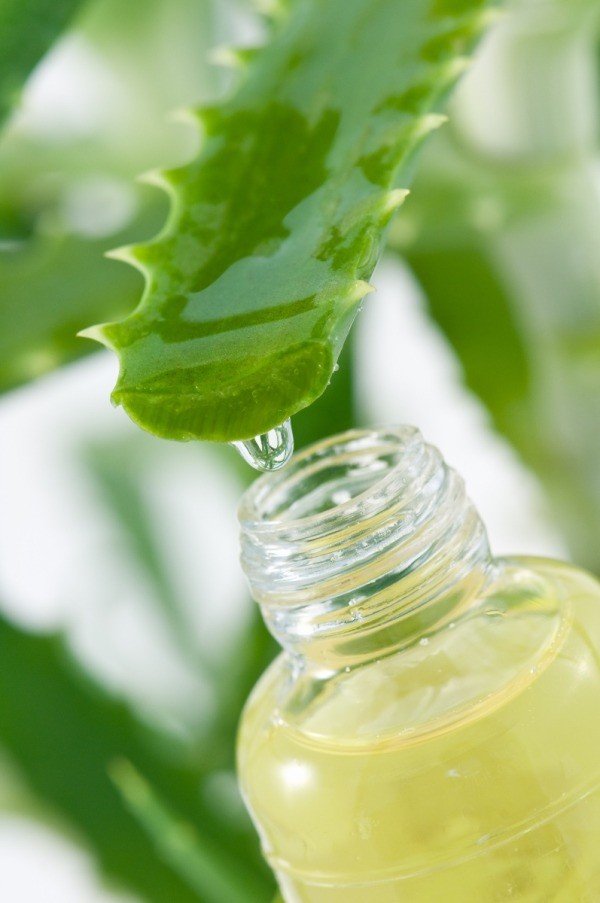 6 Health Benefits Of Drinking Aloe Vera Juice
