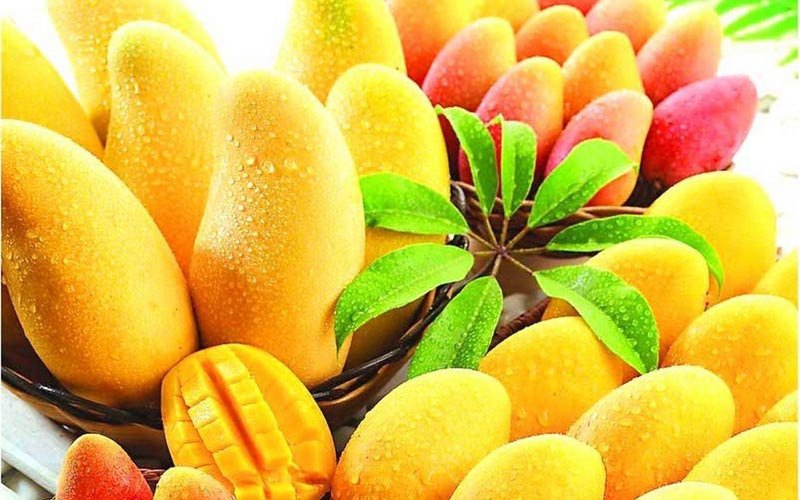 Five (5) Health Benefits Of Mangoes