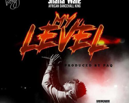 Shatta Wale Drops New Single ‘My Level'(AUDIO)