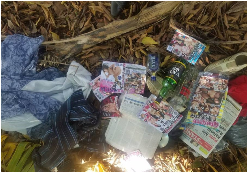 Porn, drugs and alcohol! Shocking photos of what KDF found at Al-Shabaab hideout in Boni Forest (Photos)