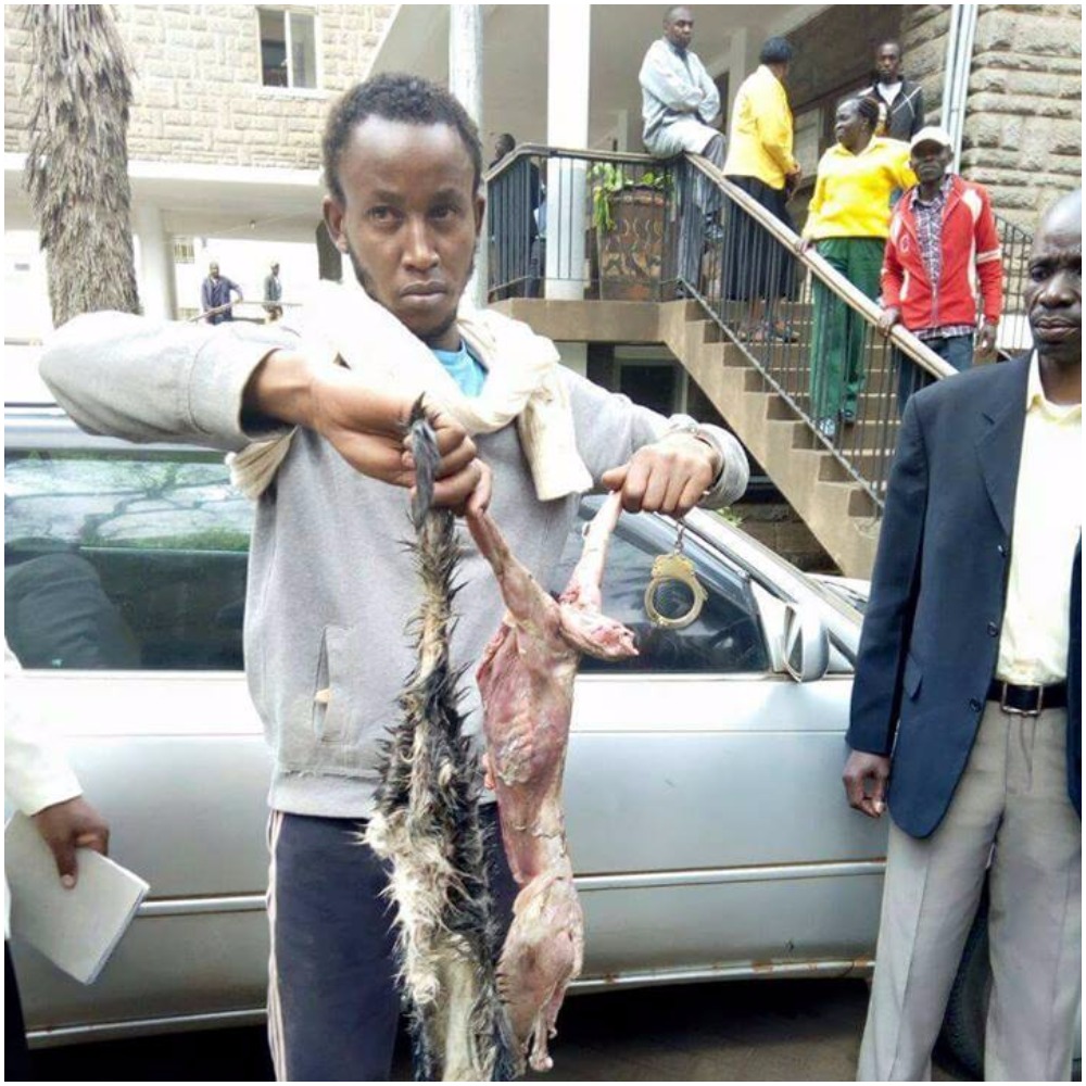 Shock as Eastleigh businessman is arrested selling cat meat samosas  (Photos)