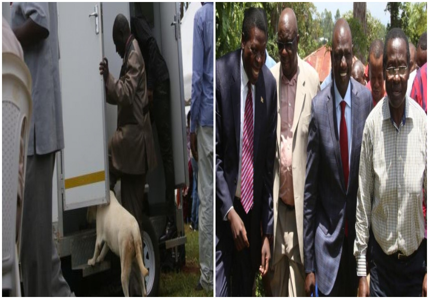 Police sniffer dogs taken to inspect toilets ahead of DP Ruto’s visit to the home of Nasa defector in Vihiga (Photos)