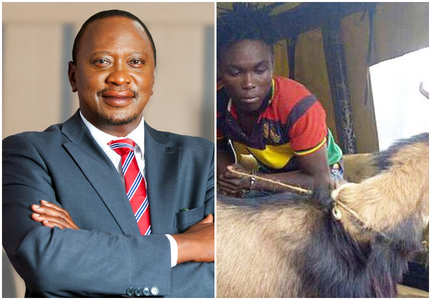 Uhuru Kenyatta’s vote saves goat thief from being lynched by a mob