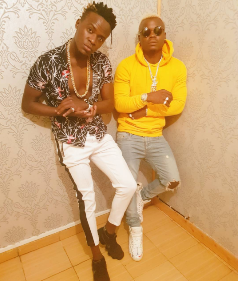 Willy Paul and Harmonize