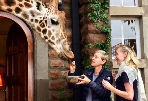 Ellen DeGeneres and her wife Portia de Rossi feed giraffe during their visit to Kenya