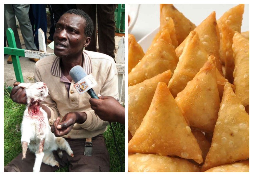 Pussy samosa! Yet another man caught skinning a cat to supply the meat to samosa vendors (Photos)