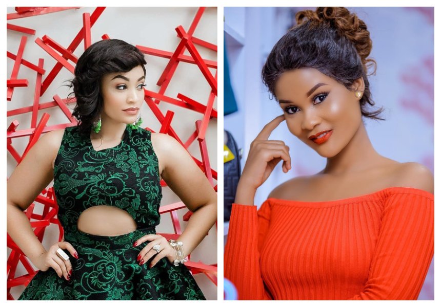 Zari Hassan speaks on allegation that Hamisa Mobetto is once again pregnant with Diamond's baby