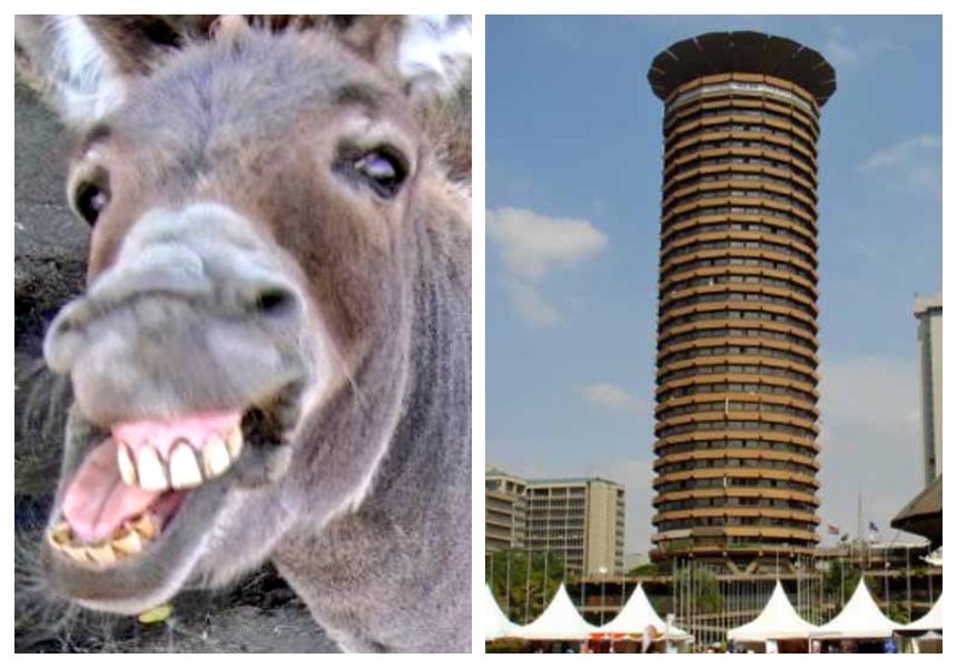 Hilarious reactions after architect reveals he was inspired by the shape of a donkey's penis to come up with the design of KICC
