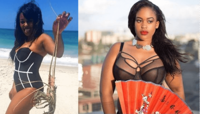 TV stations in Kenya hire ladies based on their breasts and beauty – popular lawyer Ahmednassir 