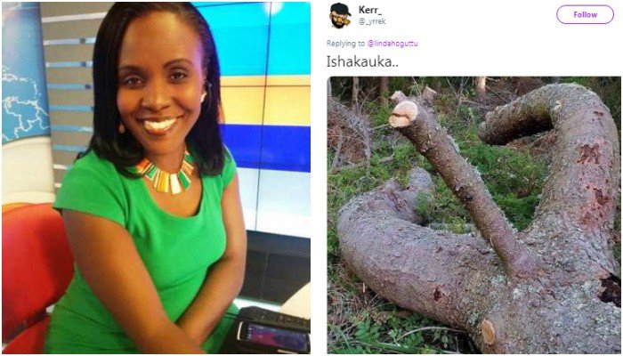 Crazy replies after news anchor Linda Ogutu begs for dry firewood on social media to keep the cold away 