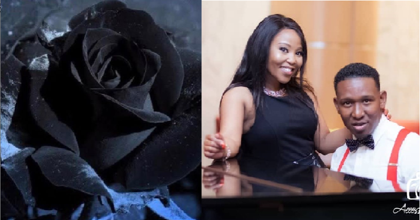 Exclusive! Zari Hassan´s manager´s black rose post comes as a shock to many