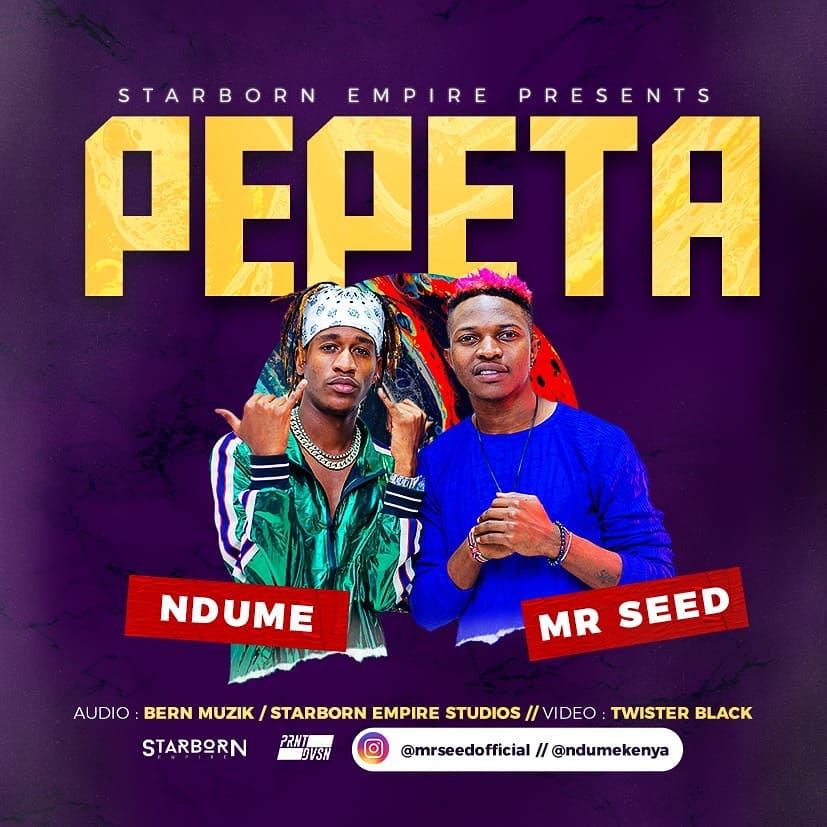 Mr. Seed features Ndume for new jam “Pepeta” and it is a blessing galore (video)