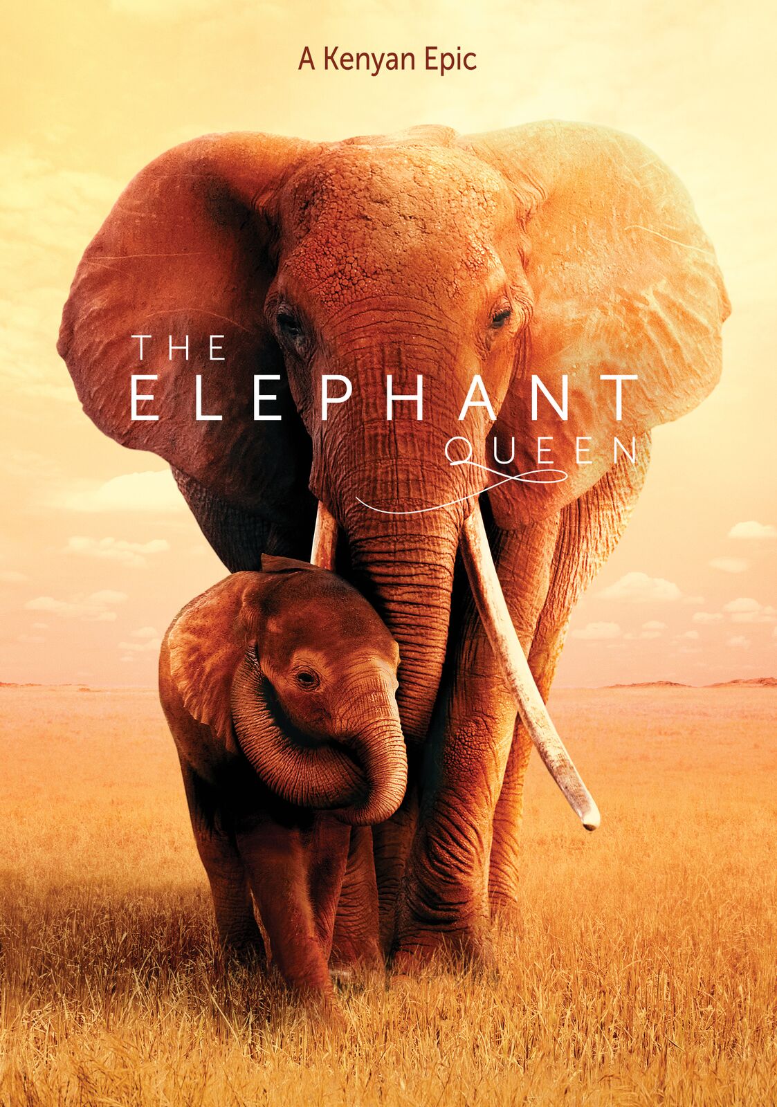 Details: ‘The Elephant Queen’ film to screen on Citizen TV this Easter Sunday