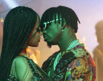 Tanasha Donna speaks after Diamond Platnumz snubbed her kiss while on stage