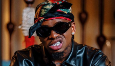 Go Getter! Diamond Platnumz Shows Off His Songs With The Highest Views (Screenshot)