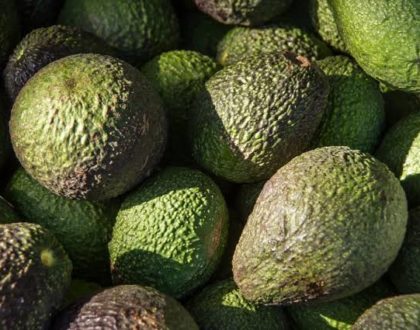The Avocado Guy: How a fruit incident in high school gave birth to a lifetime nickname!