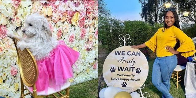 'Aki Pesa Wewe!'- Reactions From Fans As Betty Kyallo's Sister Gloria Hosts Expensive Baby Shower For Her Pregnant Dog (Screenshots)