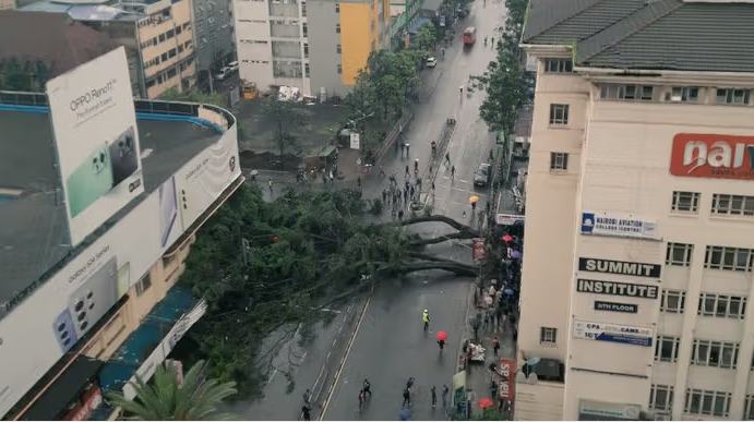 Heavy Rains Bring Nairobi Traffic To A Halt As Huge Tree Blocks Moi Avenue