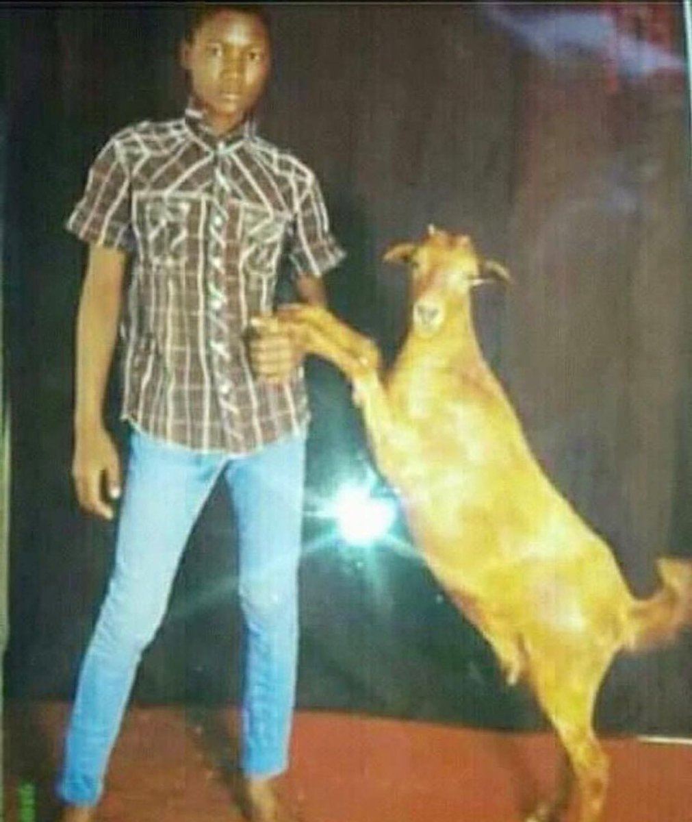 Boyfriend and goat