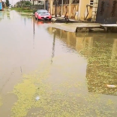 Cossy  Orjiakor says her vote is for sale to anyone who can fix her flooded street
