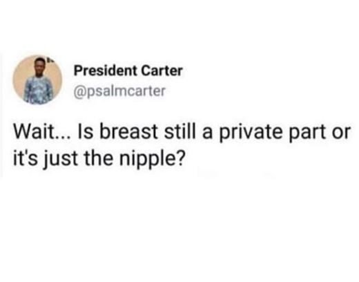“Is breast still a private part” Twitter User asks