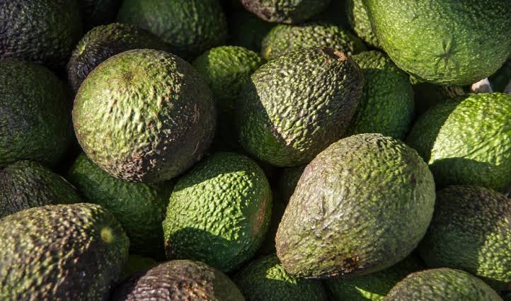 The Avocado Guy: How a fruit incident in high school gave birth to a lifetime nickname!