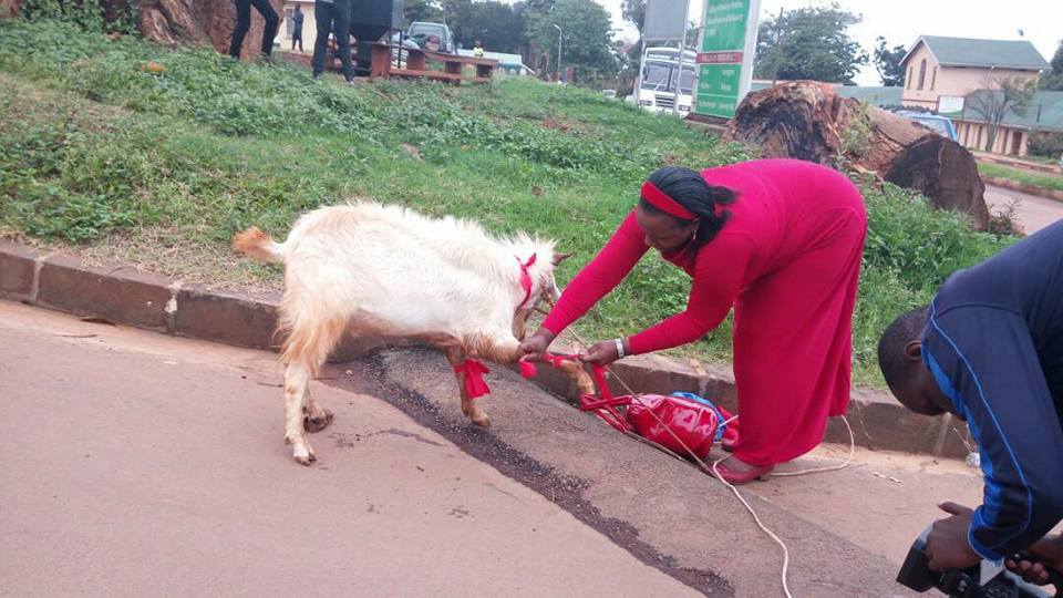 Ingrid Turinawe’s Confiscated #Togikwatako Goat replaced By Kanungu People