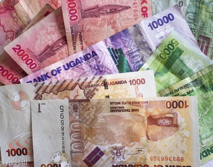 UTI Causing Bacteria Found on Uganda Currency Notes
