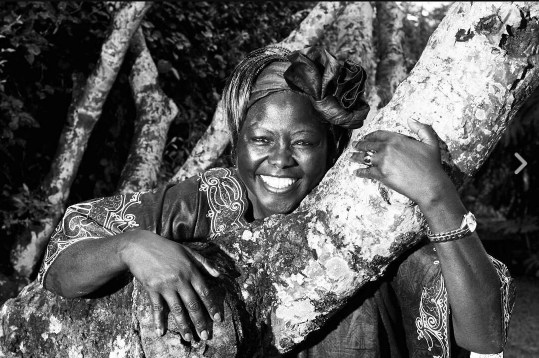Sheila Mwanyigha celebrates the late Wangari Mathaai with a beautiful message